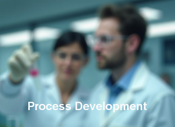 20 - Process Development