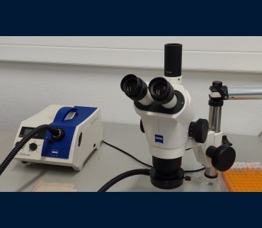 Microscopic imaging